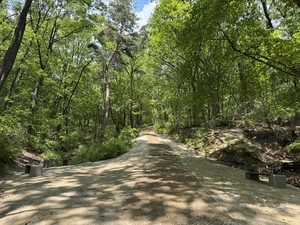 Trails open in royal forestlands