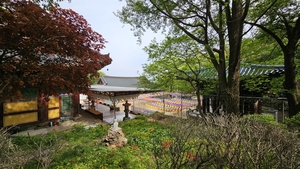 정용식의 사찰 기행
