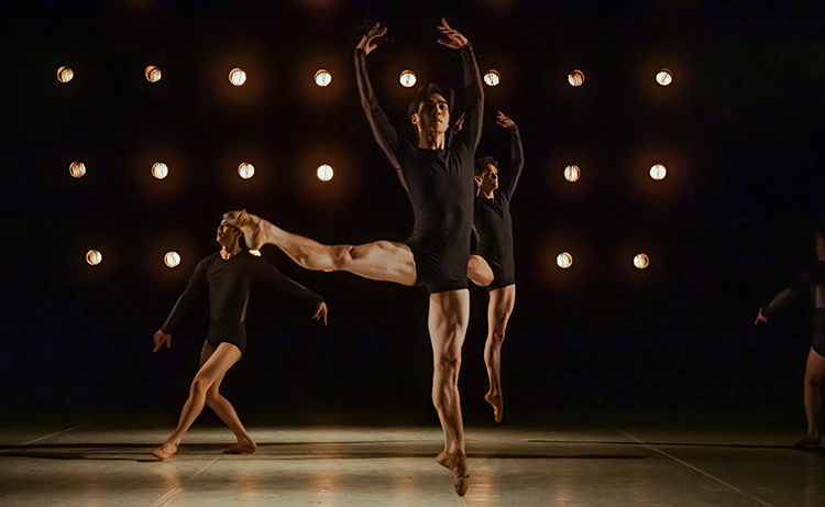 "Life of Ballerino: Dreamer" (BAFEKO)
