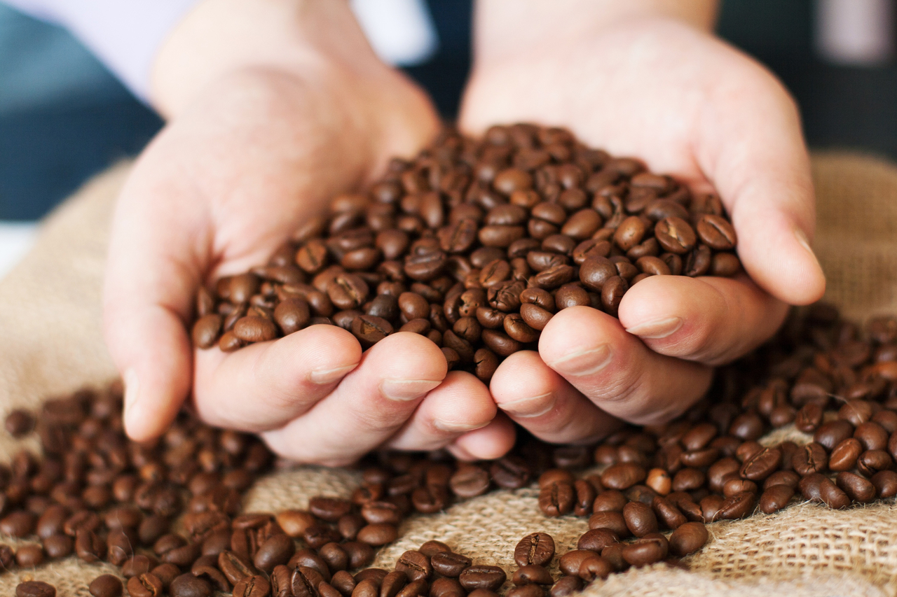 Fresh roasted coffee beans pouring out of cupped hands into a burlap sack. (123rf)