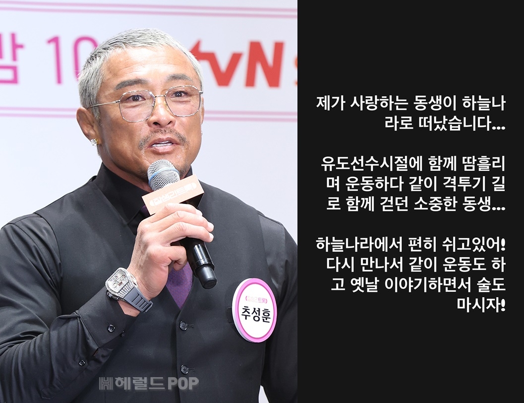 추성훈/사진=헤럴드POP DB, 추성훈 SNS