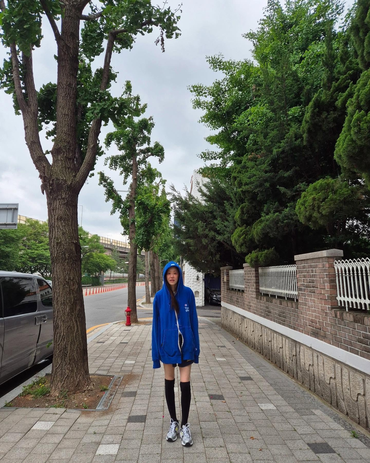 고현정 채널