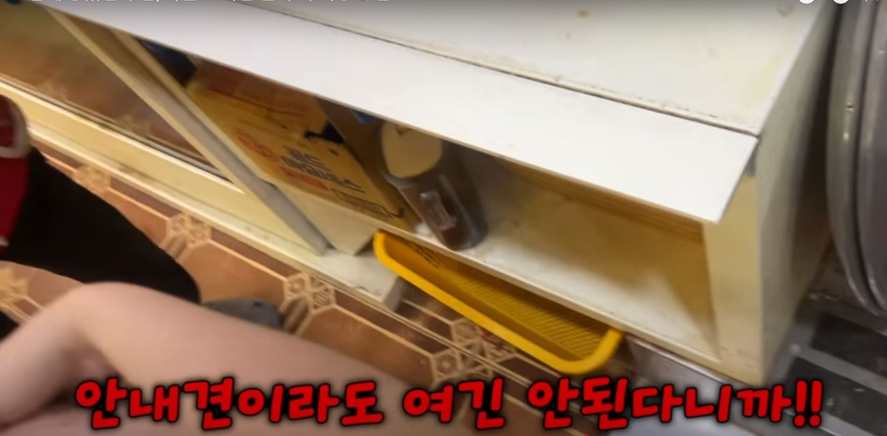 A restaurant owner in Busan refuses to seat YouTuber Heo Woo-ryeong in a certain spot, taking issue with her service animal. (YouTube)