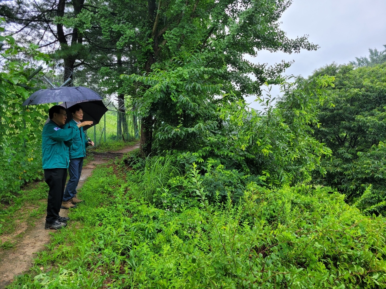 이재훈시장권한대행(왼쪽)과  금두섭 산림과장이 산사태 우려지역을 살펴보고 있다[영주시 제공]