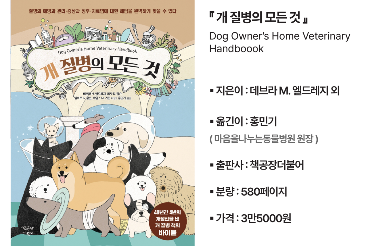 멍슬리 개질병의 모든 것