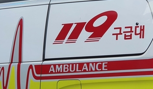 충격! 세종시 소방서 사칭 '노쇼 사기' 발생…27만원 도시락 주문 후 잠적