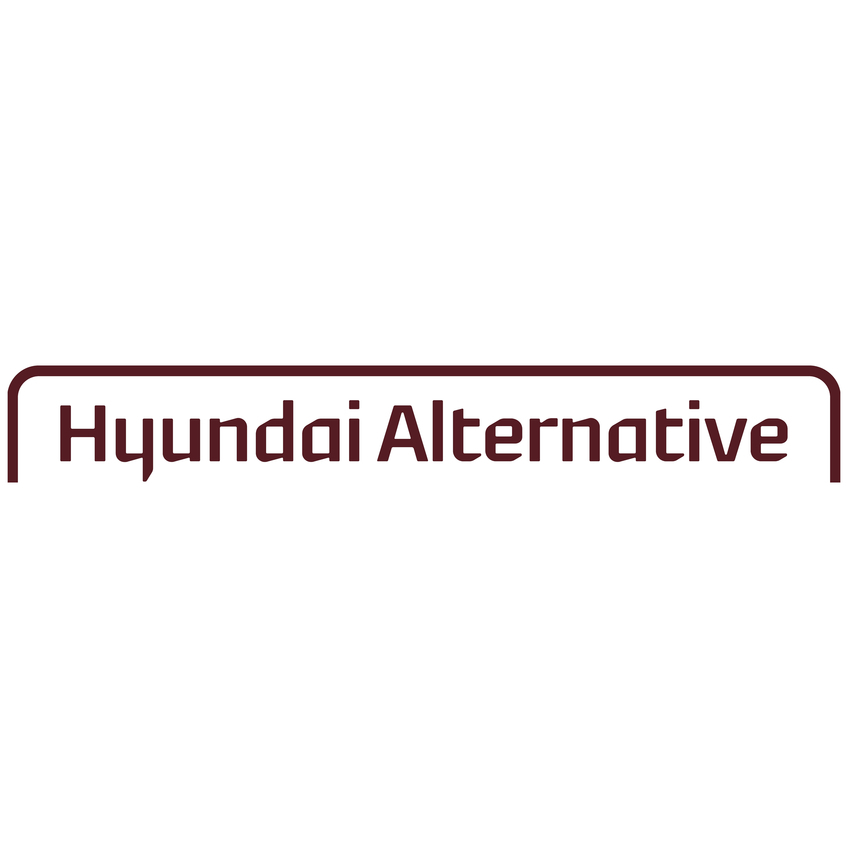 (Hyundai Alternative)