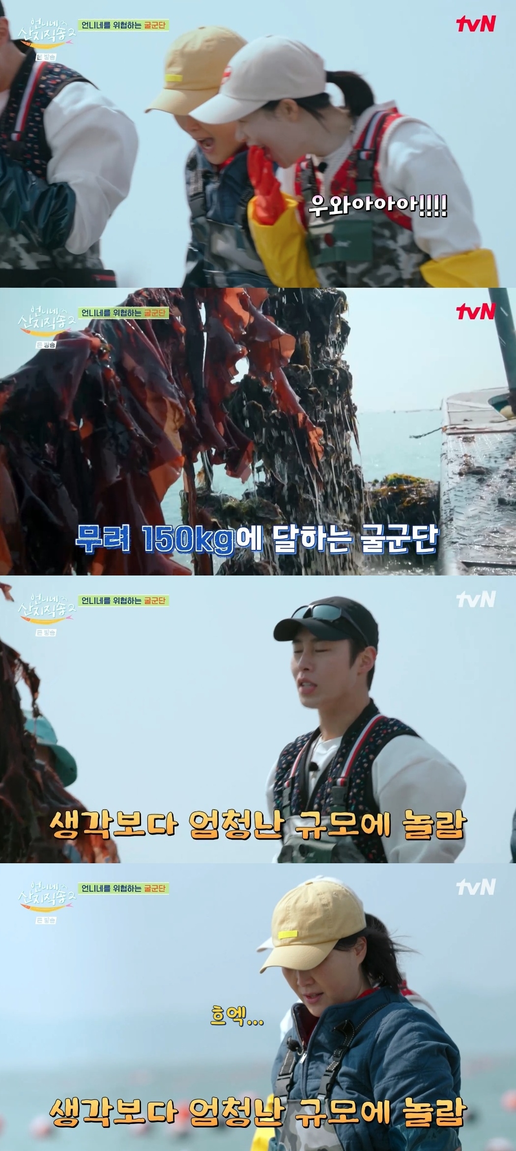 tvN ‘언니네 산지직송’ 캡처