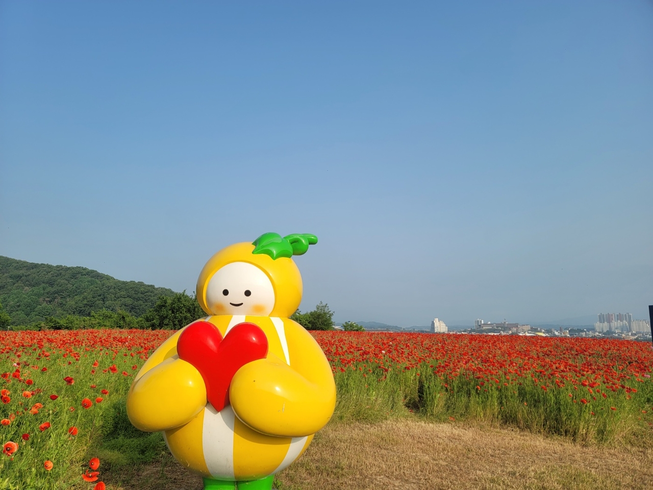 [성주군 제공]