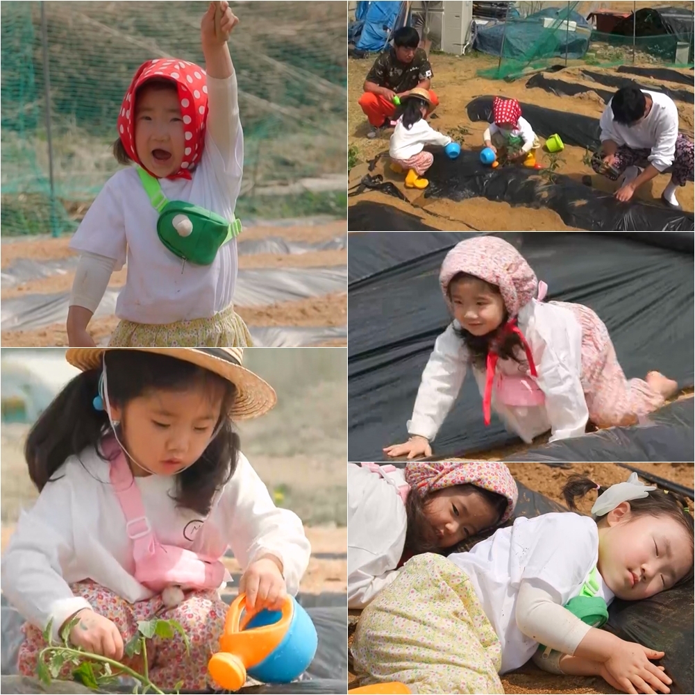 사진 제공=KBS 2TV