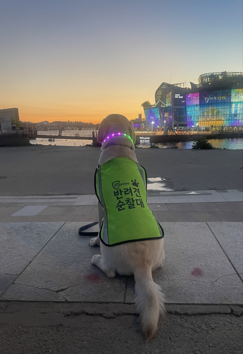 A pet dog, wearing a jacket reading "pet patrol," takes a break after a patrol exercise at Banpo Hangang Park in Seocho-gu, southern Seoul in April. (Seoul Metropolitan Autonomous Police Commission)
