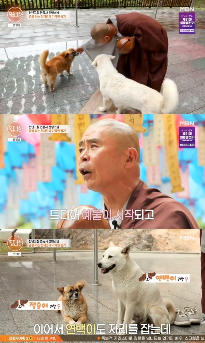 MBN ‘특종세상’ 방송캡처