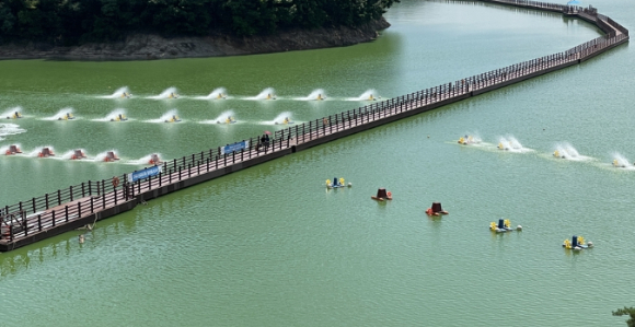Andong Dam (Korea Water Resources Corporation)