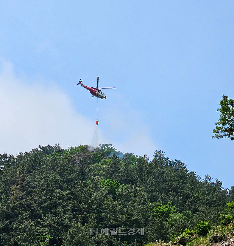 1일 오전 8시52분쯤 경북 울릉군 서면 남양리의 한 야산에서 산불이 발생해 산림청 진화헬기가  물을 뿌리고 있다 [독자제공]