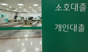 "여보 이달에 무조건 대출받아야 하나"...가계대출 폭증에 금융당국 추가 조치 검토