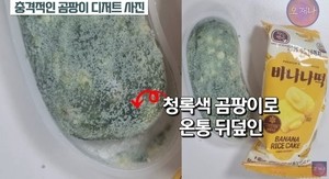 ‘곰팡이’ 덮힌 빽다방 디저트…‘판매 중단’한다더니, 뒤늦게 폐기했다? 의혹 제기