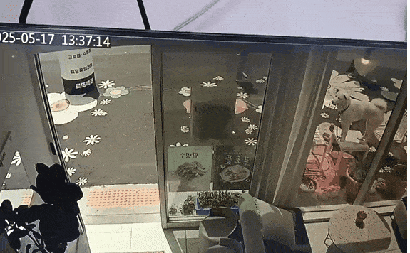 지난달 17일 전북 부안의 한 카페 앞에서 발생한 개 물림 사고. [온라인 커뮤니티 ‘보배드림’ 캡처]