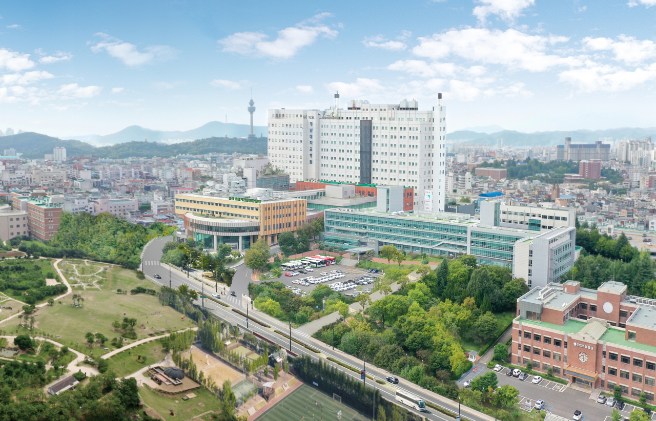 [영남대병원 제공]