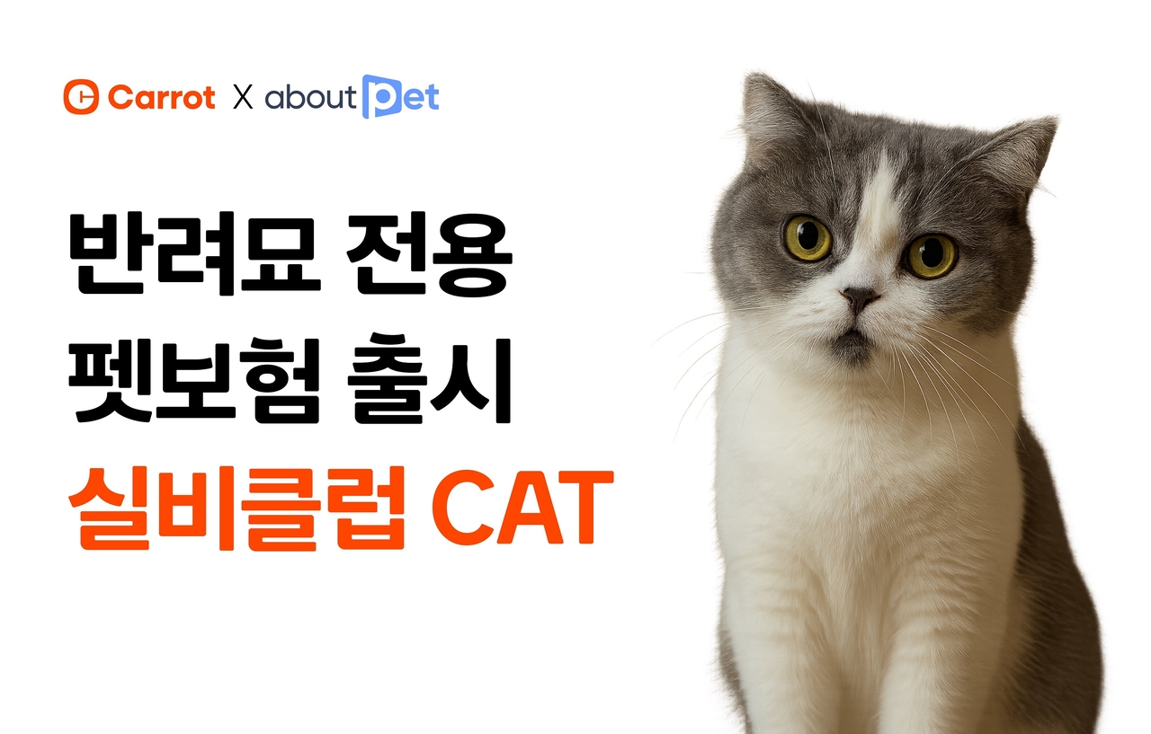 [캐롯손해보험 제공]