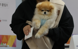 Election day in pictures