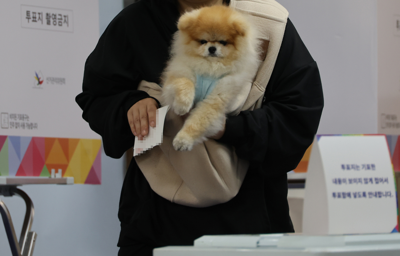 A voter casts a ballot while holding a dog at a polling station set up at Dongmyung girls' high school in Eunpyeong-gu, Seoul, on Tuesday, the day of South Korea’s 21st presidential election. (Yonhap)