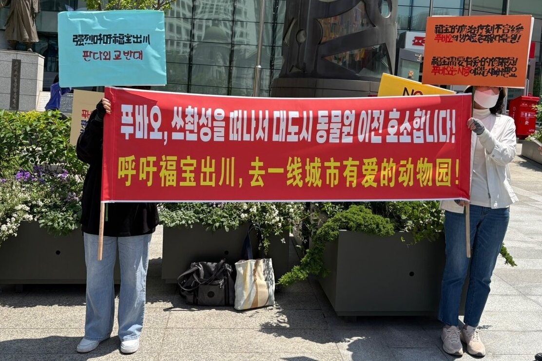 솜사탕토토 구명을 위한 팬들의 피켓시위. 스촨성 기지로부터의 탈출을 촉구하고 있다.
