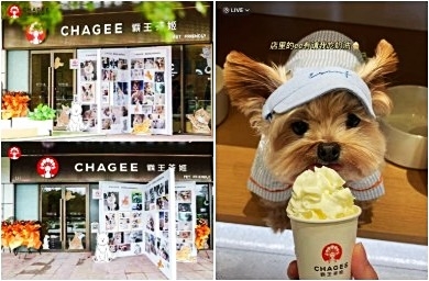 CHAGEE 반려동물 친화형 매장(왼쪾) 과 특제 크림 [SNS]