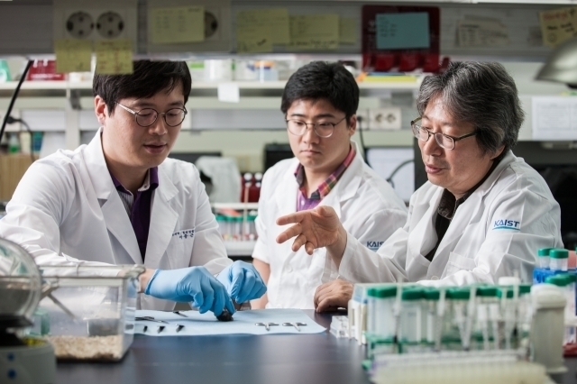 고규영(오른쪽) IBS 혈관토토사이트 착오이체단장.[IBS 제공]