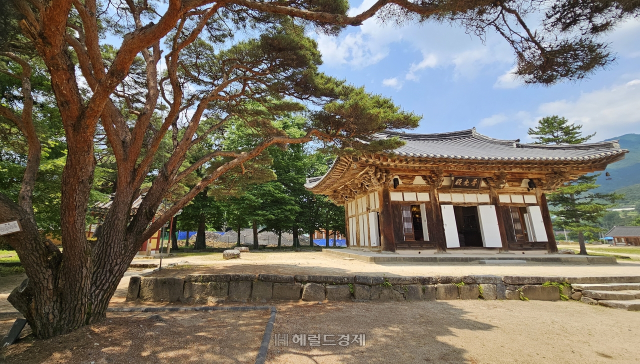 모먼트 토토사이트 보광전과 반송