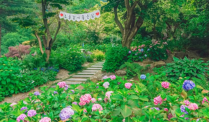 Festivals, sights across Korea