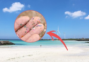 “제주 해변 깨끗한 줄 알았더니” 몰랐던 ‘충격 실상’…플라스틱 조각 ‘수두룩’ [지구, 뭐래?]