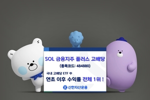 상법개정 기대감 '쑥'…'SOL 금융지주플러스고배당', 국내 고배당 ETF 중 연초 이후 수익률 1위 [투자360]