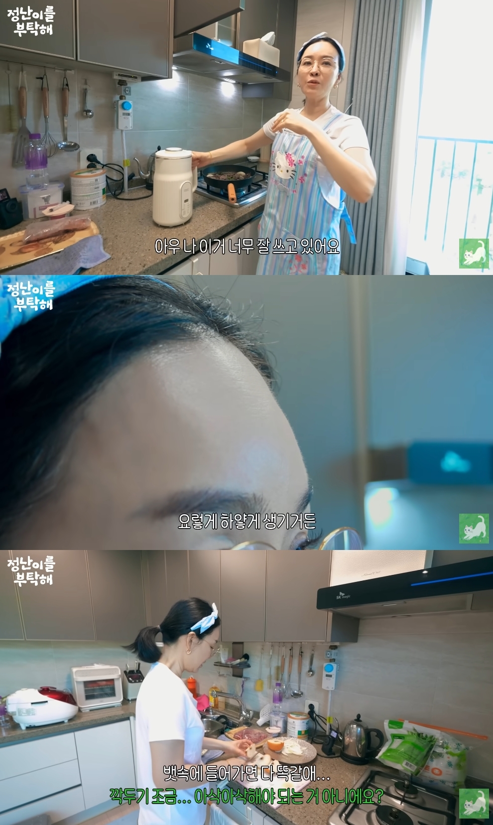 김정난 유튜브 캡처