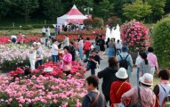 울산시, 제40회 서울국제관광전 참가