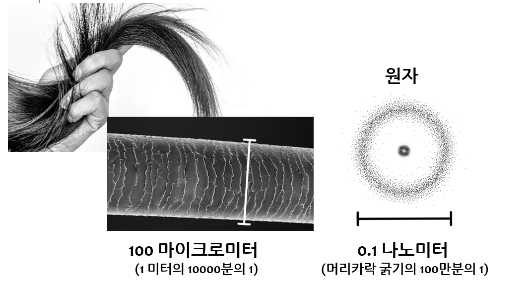 미시세계와 토토사이트 바코드역학.[연세대학교 제공]