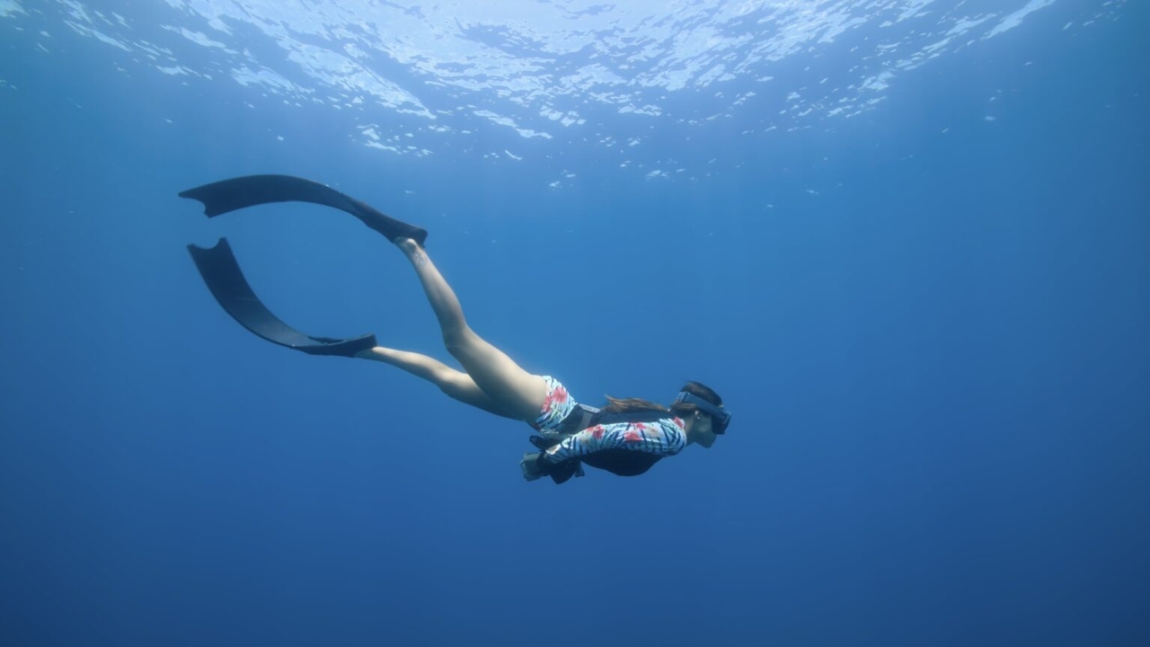 "Her Shark Story" (KIOFF)
