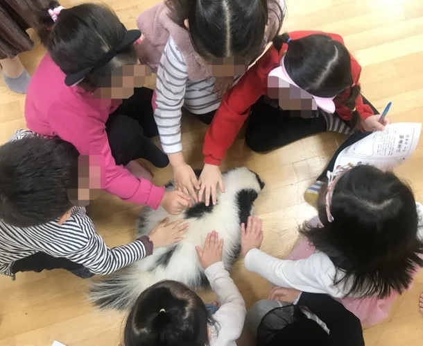 Children touch a skunk during a mobile zoo event. (Courtesy of Animal Welfare Advocacy, Research and Education)