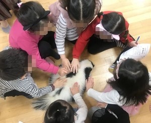 Petting zoos in day cares, education or animal exploitation?