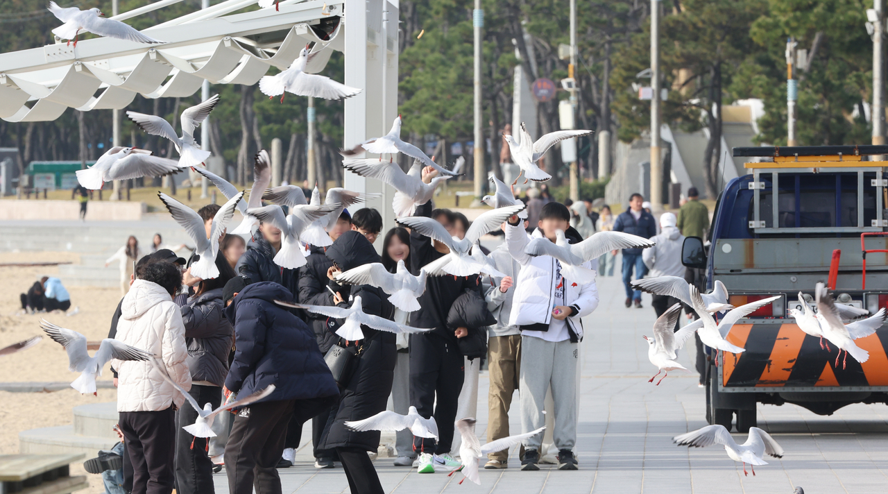 현장체험학습과 토토사이트 썸 등 외부활동이 학교에서 사라졌다. 외부 활동에서 문제가 생기면 모든 책임이 교원에게 향하기에 원천적으로 피하고 있는 것이다. 부산 해운대해수욕장에서 현장학습 나온 학생들이 먹이를 찾아 날아오르는 갈매기를 보며 즐거운 시간을 가지고 있다. [연합]