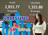 삼성전자·SK하닉 주도 코스피 랠리 시작?…코스피 2900 넘어 삼천피 노리나 [투자360]