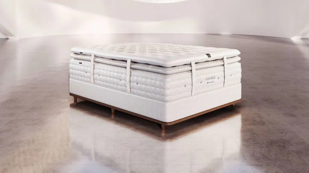 Sealy Haynes mattress (Sealy)