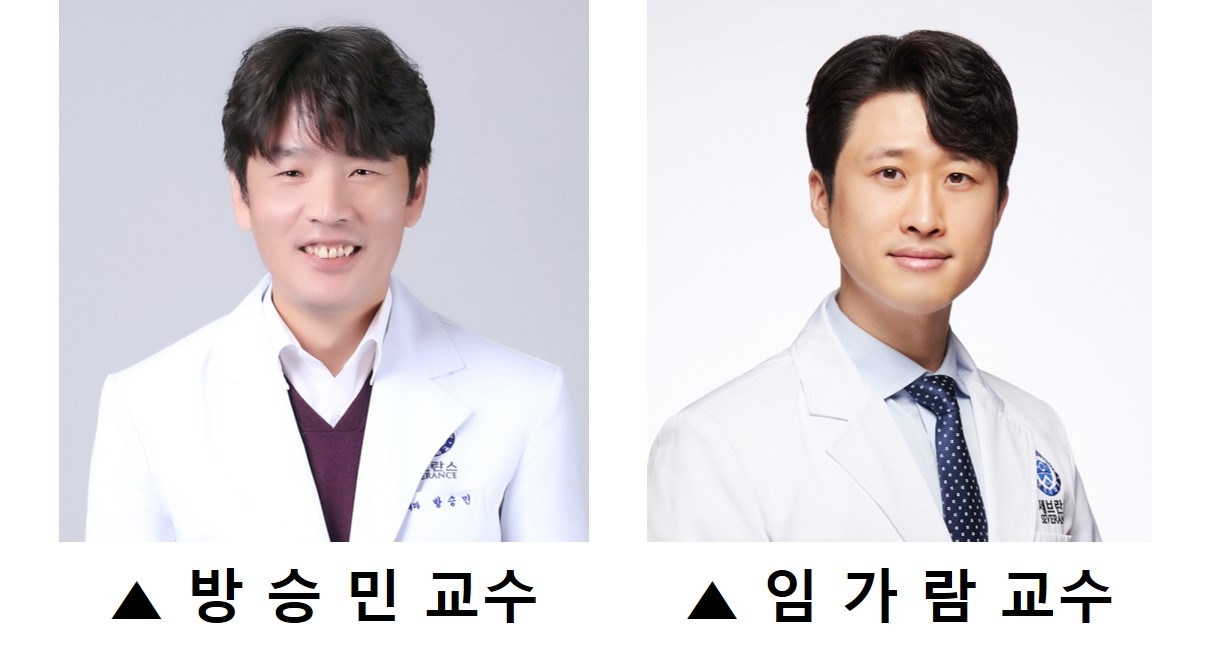 세브란스병원 소화기내과 방승민, 임가람 교수.[세브란스병원 제공]