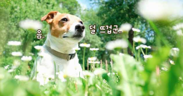 ©123rf