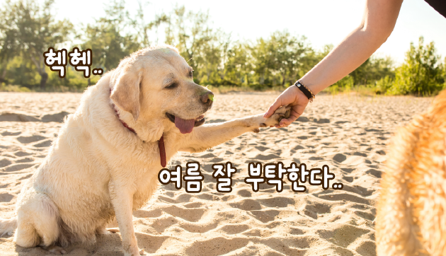 ©123rf