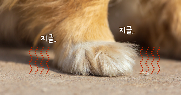 ©123rf