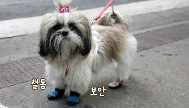 ©123rf