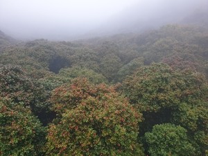 Set deep in nature, Jangheung emerges as refreshing getaway