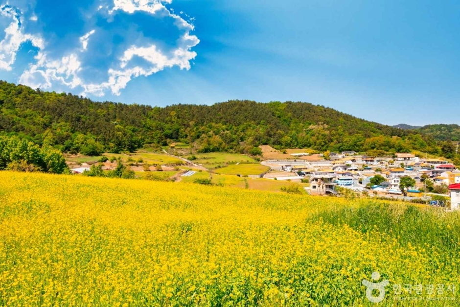 Seonhakdong Village (Korea Tourism Organization)
