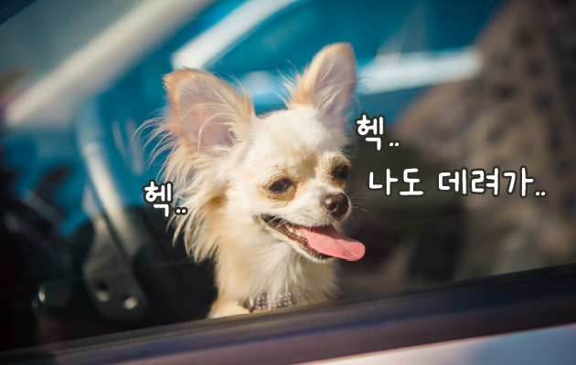 ©123rf