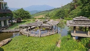 정용식의 사찰 기행